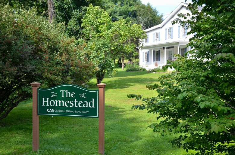 Bed & Breakfast The Homestead At Catskill Animal Sanctuary