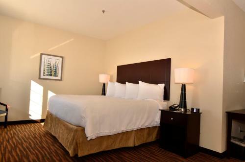 Hotel Cobblestone Inn & Suites - Holstein