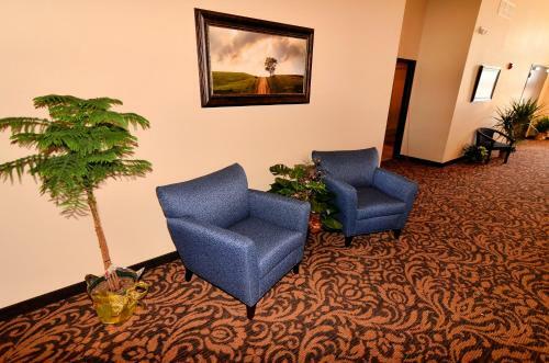 Hotel Cobblestone Inn & Suites - Holstein
