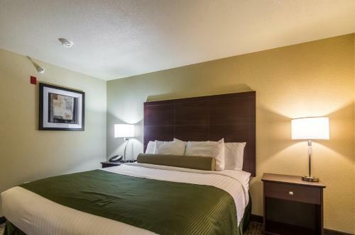 Hotel Cobblestone Inn & Suites - Lakin