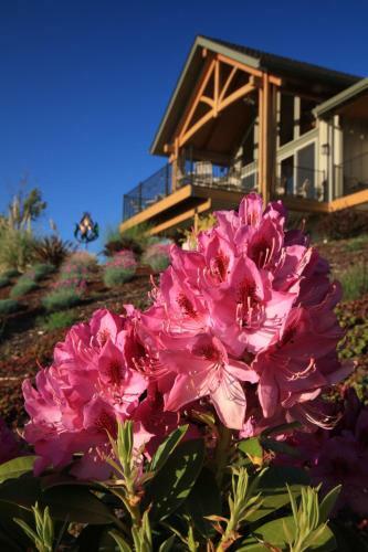 Bella Collina Bed And Breakfast