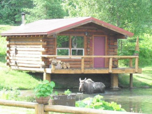 Bear Creek Lodge Alaska