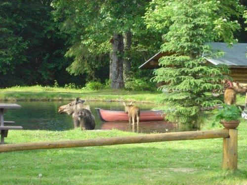 Bear Creek Lodge Alaska