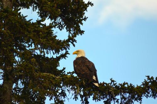 Lighthouse Point Road Home 163