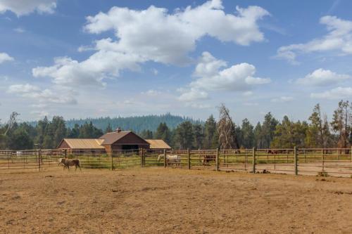 Cedar Lane 11 | Discover Sunriver