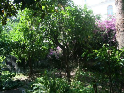 Il Giardino Di Tonia B&B