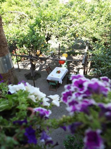 Il Giardino Di Tonia B&B
