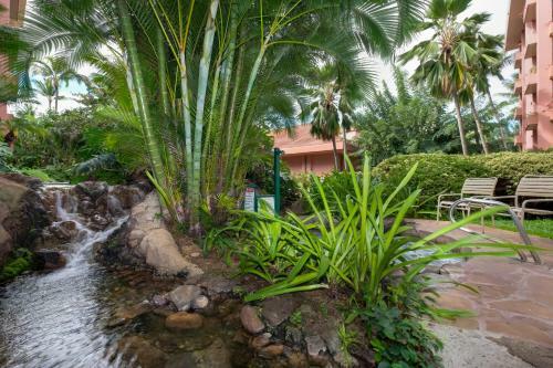 Apartamentos Kahana Falls Resort