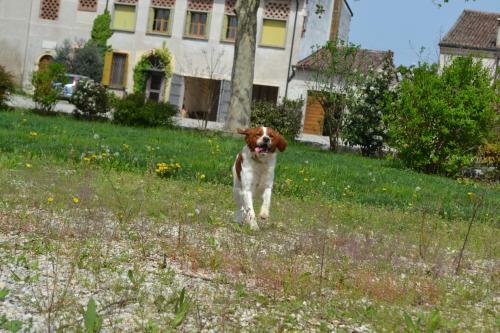 Agroturismo Agriturismo Otto Ducati D'oro