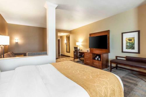Hotel Comfort Suites Brookings