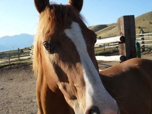 Fish Creek House Bed & Breakfast