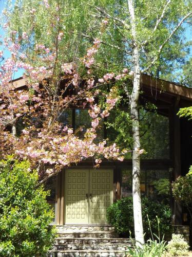 Bed & Breakfast Ponderosa Ridge A B & B