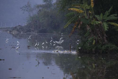 Ninh Binh Panorama Homestay