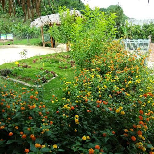Bed & Breakfast Moc Chau Eco House