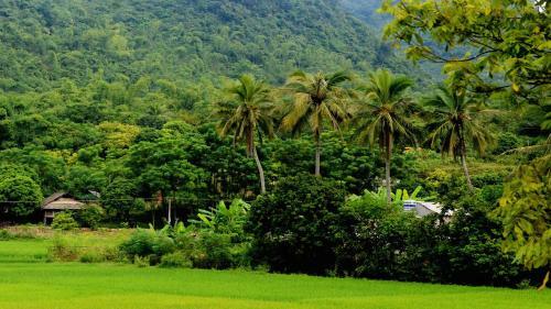 Mai Chau Villas