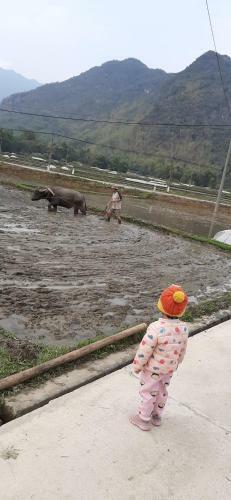 Hung Mai Homestay