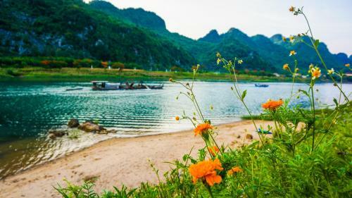 Phong Nha River House