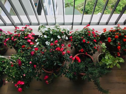 Apartamento G2homestay