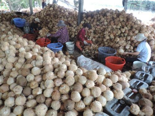 Agroturismo Ben Tre Farm Stay