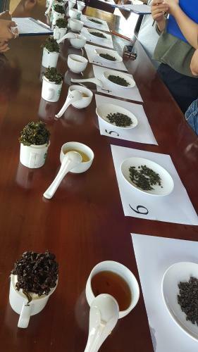 Thi�n ???ng S?ng ?o - Long Dinh Tea