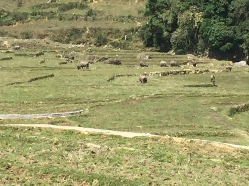 Motel Zmonghomestay