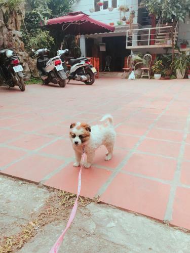 Ninh Binh City View Homestay