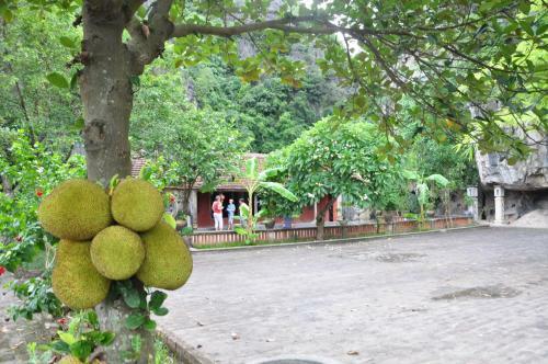 Vietnamese Ancient Village- Lang Viet Co Hotel