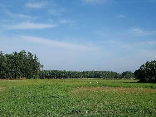Agroturismo Pika Homestay