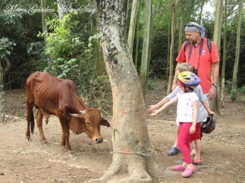 Moon Garden Homestay