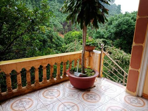 Cuc Phuong Hao Tham Homestay Hotel