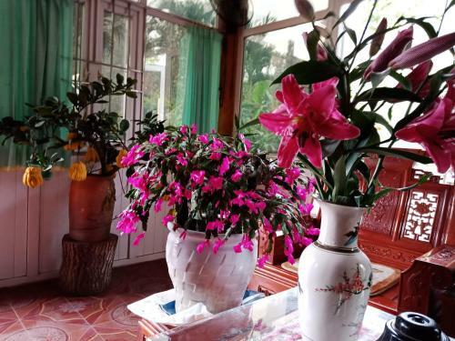 Cuc Phuong Hao Tham Homestay Hotel