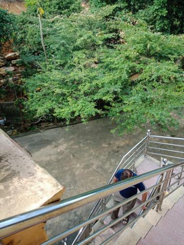 Cuc Phuong Hao Tham Homestay Hotel