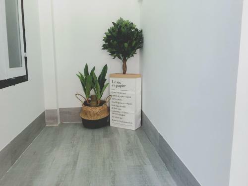 Apartamento Bigdog Homestay