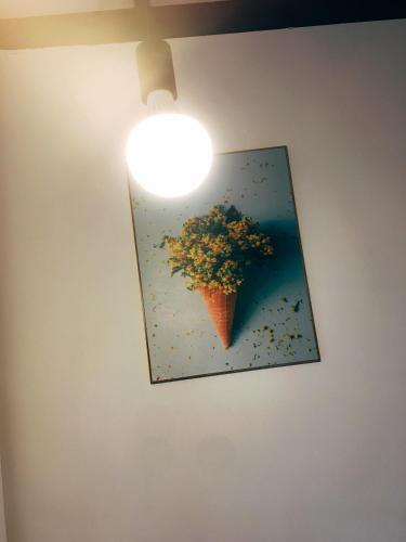 Apartamento Bigdog Homestay