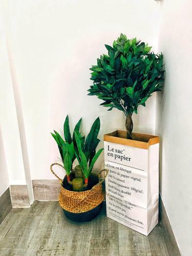 Apartamento Bigdog Homestay