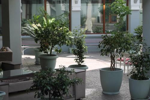 Boutique Hotel Atrium-victoria