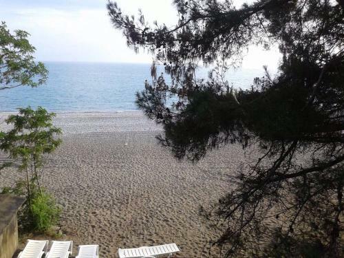 Hostal Guest House Apsilia