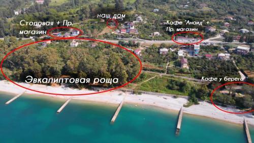 Agroturismo Apartment On Myasnikova 4