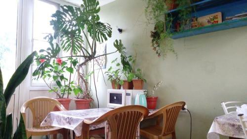 Hostal Guest House Anna