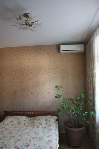 Hostal House In Gagra