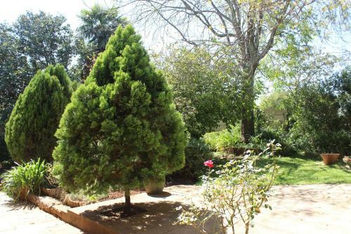 Hostal Drs Place Country Guesthouse
