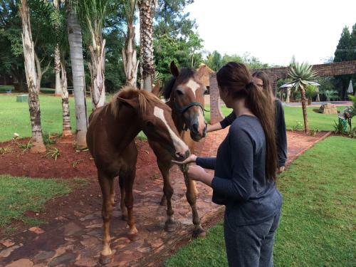 Woodridge Palms Boutique Hotel