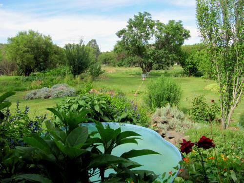 Bluegum Cottage B&B And Self Catering