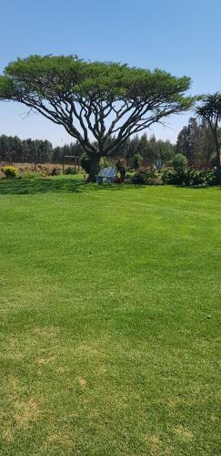 Hostal Forest Hill Country Lodge