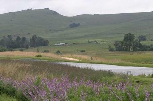 Hostal Willow Creek Trout And Nature Reserve