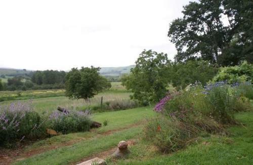 Hostal Willow Creek Trout And Nature Reserve