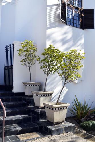 Hostal 96 On Bree Guesthouse