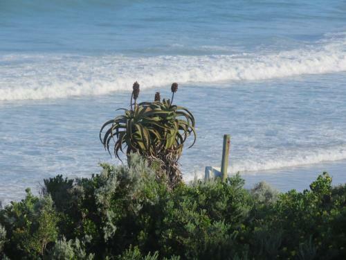 24 Houtbosch Bay Honeymoon Suite With Jacuzzi