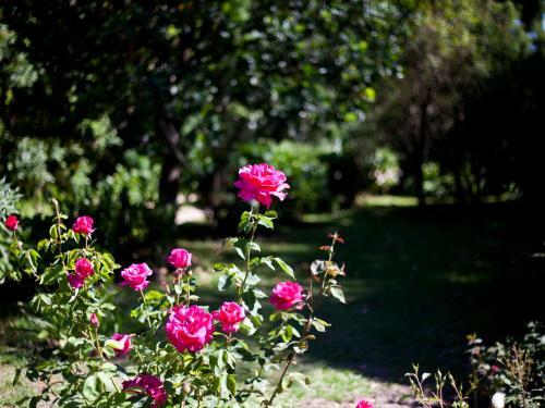 Hostal Andelomi Nature's Rest