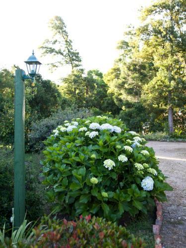 Hostal Andelomi Nature's Rest